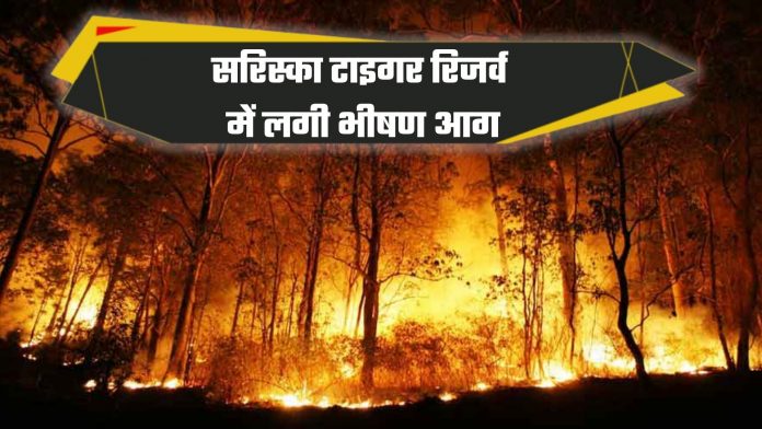 Fire Breaks Out In Sariska Tiger Reserve